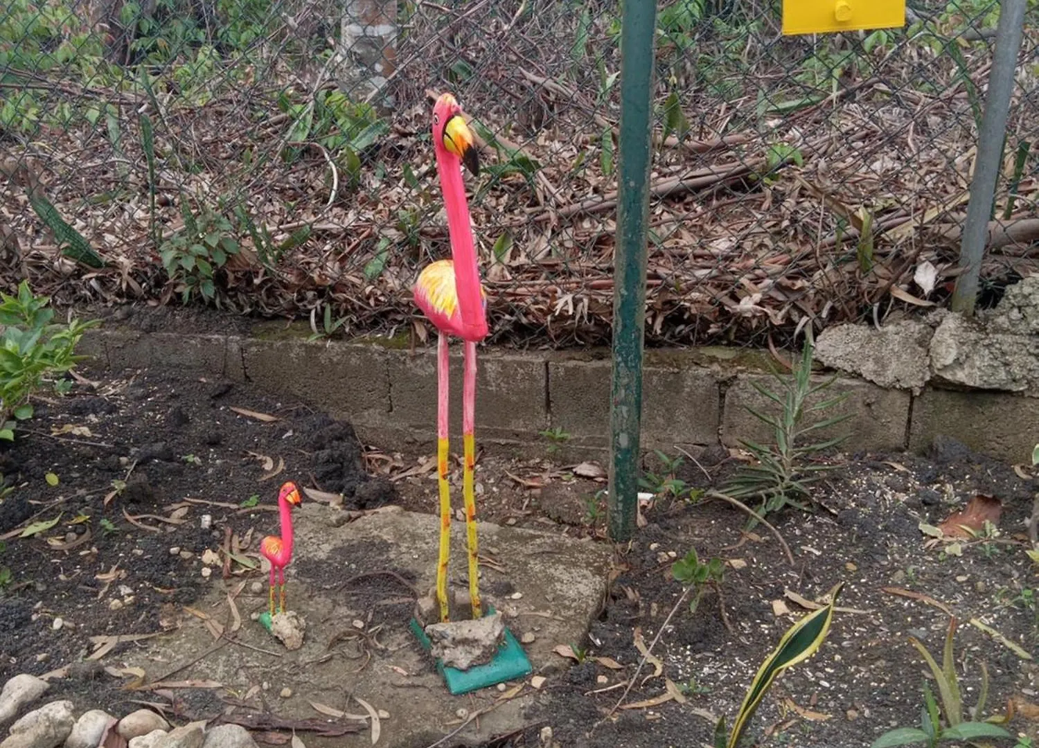 Διαμέρισμα Tropical Optimal Tropicana Sur Sosúa